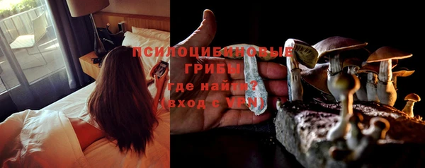 марихуана Абаза