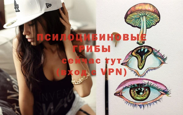 марихуана Абаза