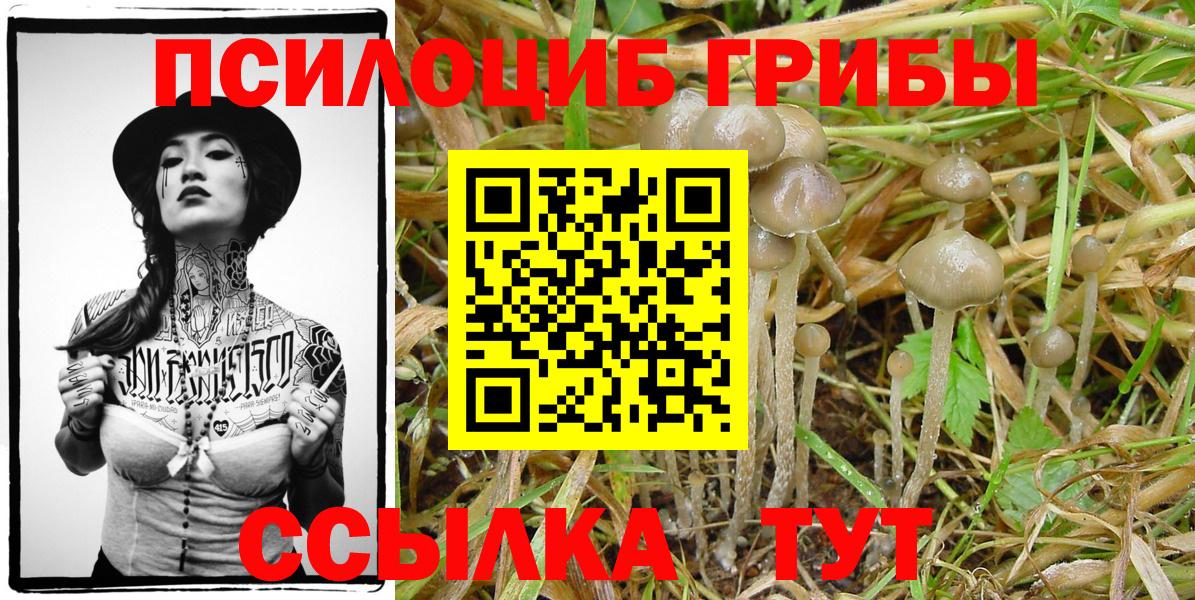 Красноармейск  Галлюциногенные грибы GOLDEN TEACHER  Вход с VPN 